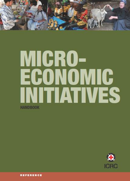 Micro-economic initiatives